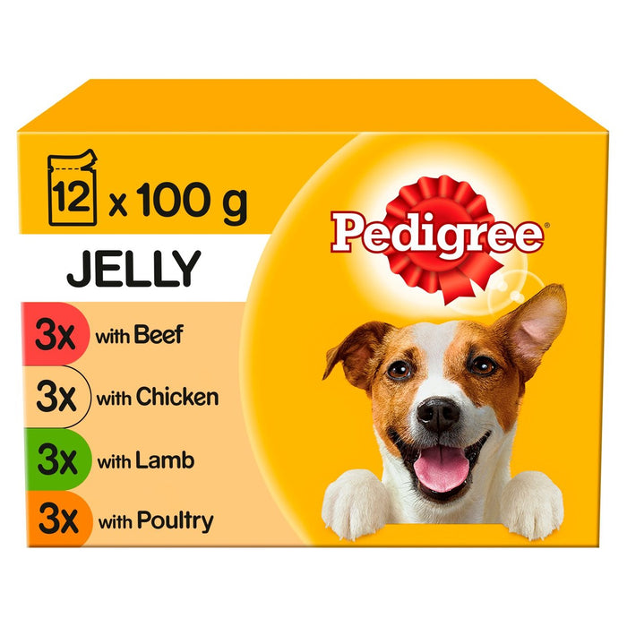 Pedigree Selección de bolsas de comida para perros húmedos para adultos en gelatina 12 x 100g